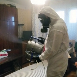 Дезинфекция от клопов в Левобережном районе Москвы
