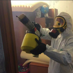 Уничтожение клопов в квартире. Левобережный 